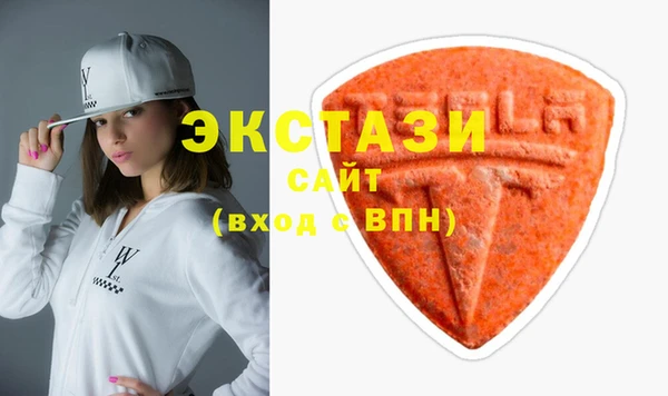 гашик Новозыбков