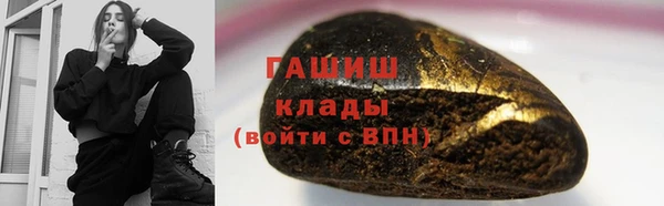 гашик Новозыбков