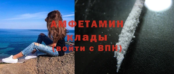 гашик Новозыбков