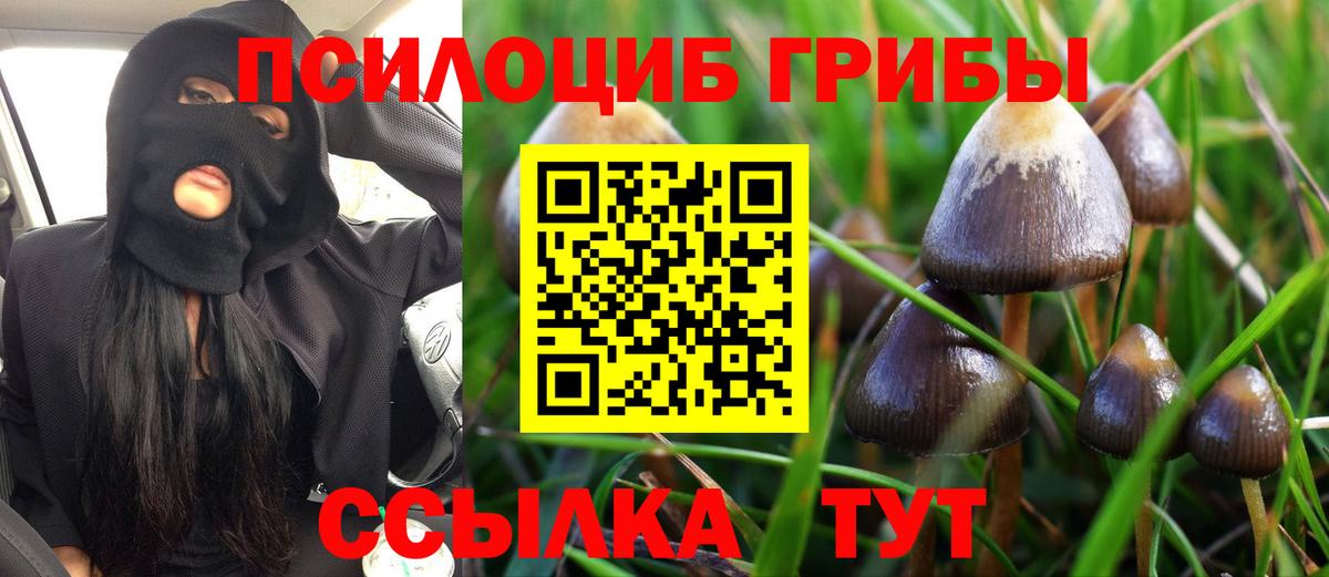 Псилоцибиновые грибы GOLDEN TEACHER  Вход с VPN  Урюпинск 